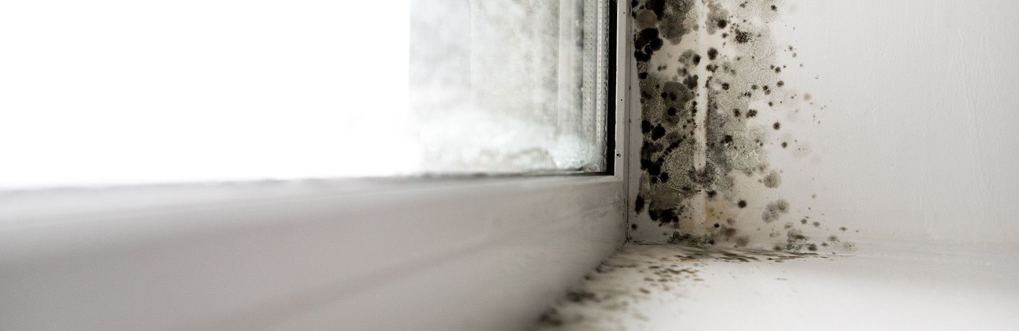 Photo of Condensation Control