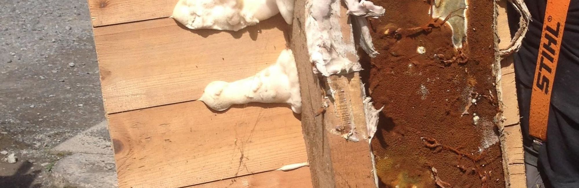 Photo of Dry & Wet Rot Decay Control