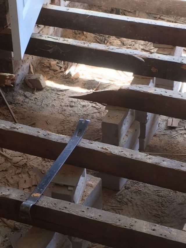 Extensive Woodworm &lpar;Anobium punctatum&rpar; infestation - whole of the floor needed replacing: Swipe To View More Images