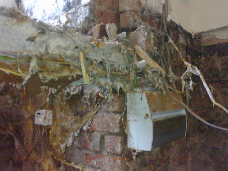 Dry Rot &lpar;Serpula lacrymans&rpar; mycellium: Swipe To View More Images