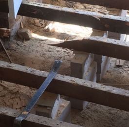 Extensive Woodworm &lpar;Anobium punctatum&rpar; infestation - whole of the floor needed replacing: Click Here To View Larger Image